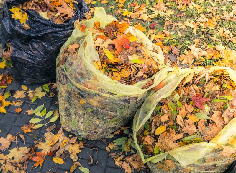 Collected Leaves in Yard Bags