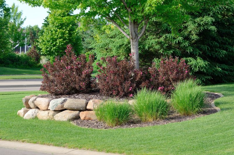Park Landscape Maintenance in Ventura County, CA