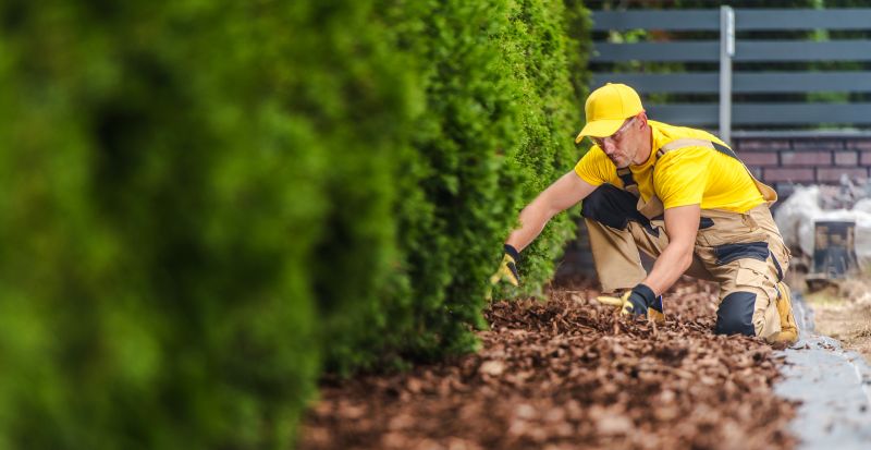 Local Landscaping Consultants