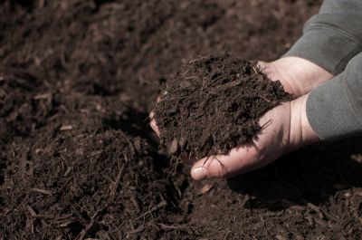 Install High Quality Mulch
