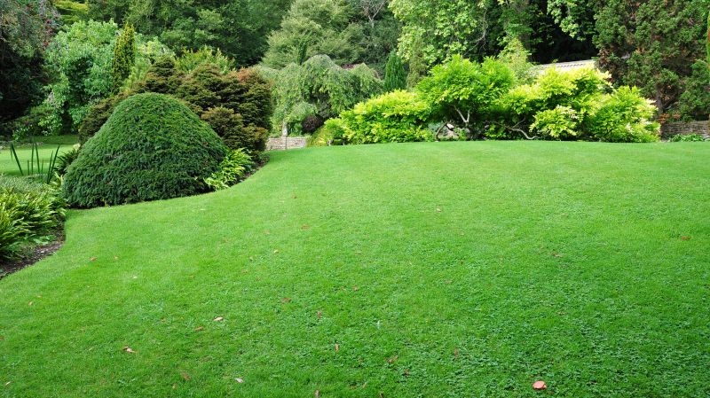 Commercial Landscape Maintenance in Honolulu, HI